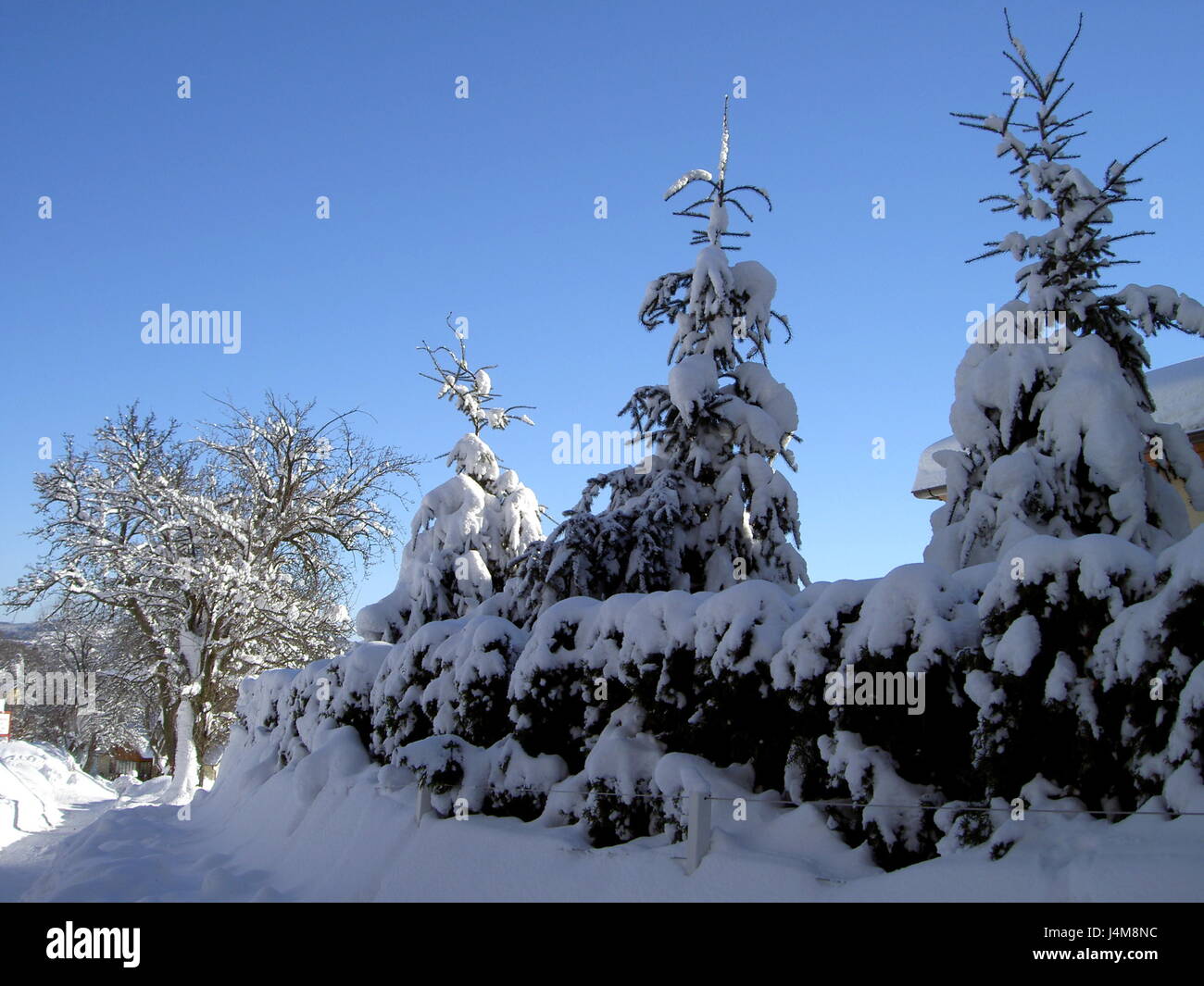 Paesaggio Di Inverno in Austria Foto Stock