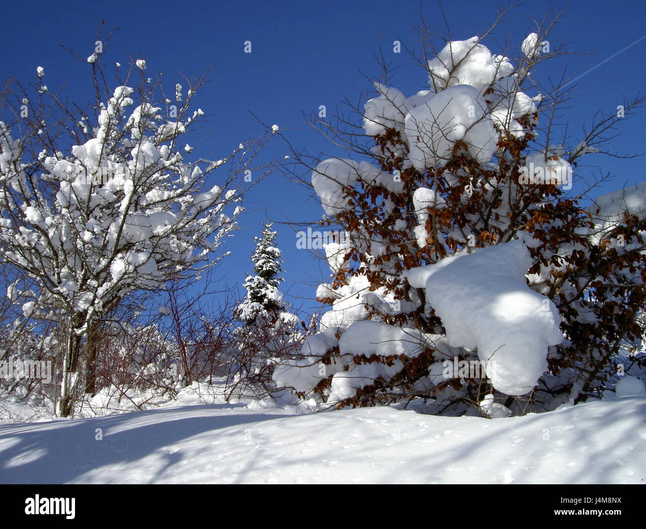 Paesaggio Di Inverno in Austria Foto Stock