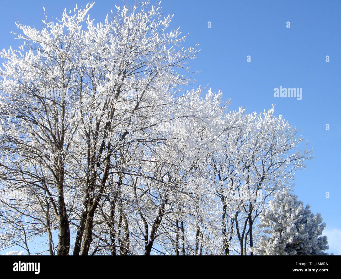 Paesaggio Di Inverno in Austria Foto Stock