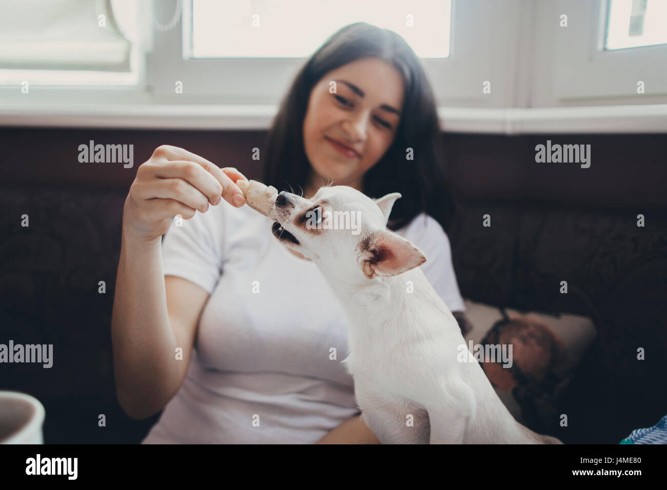 La donna caucasica trattare di alimentazione per cane Foto Stock
