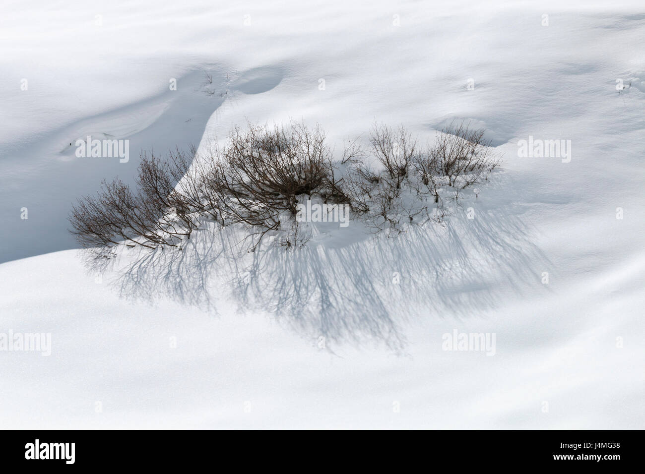 Una coperta di neve la boccola con ombre nella Oetztal, Austria. Foto Stock