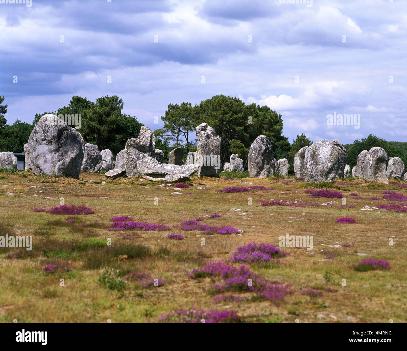 Francia, Bretagna Carnac, Alignements Le Kermario, pietra viale Europa, alingnments, pietre, sassi, cult square, menhir, monumento megalitico, blocchi di pietra, cultura, fede, campo di pietra, formazioni di pietra, luogo di interesse Foto Stock