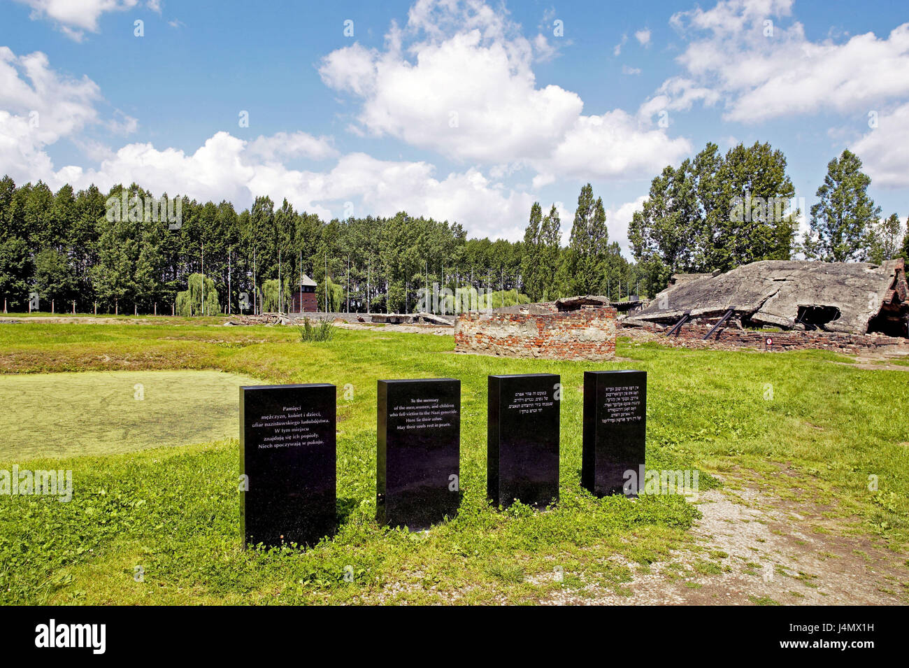 Polonia, Birkenau, museo statale, campo di prigionia, pietre tablet Europa, Rzeczpospolita Polska, piccole espansioni, Auschwitz II, campo di concentramento, Wojew½dztwo Malopolskie Oswiecim, seconda guerra mondiale, guerra storia, distruzione del magazzino, SS-distruzione magazzino del prigioniero di guerra del magazzino, distruzione di massa, l'anti-semitismo, memorial, raccoglimento, UNESCO-patrimonio culturale mondiale, luogo di interesse, tabelle commemorative Foto Stock