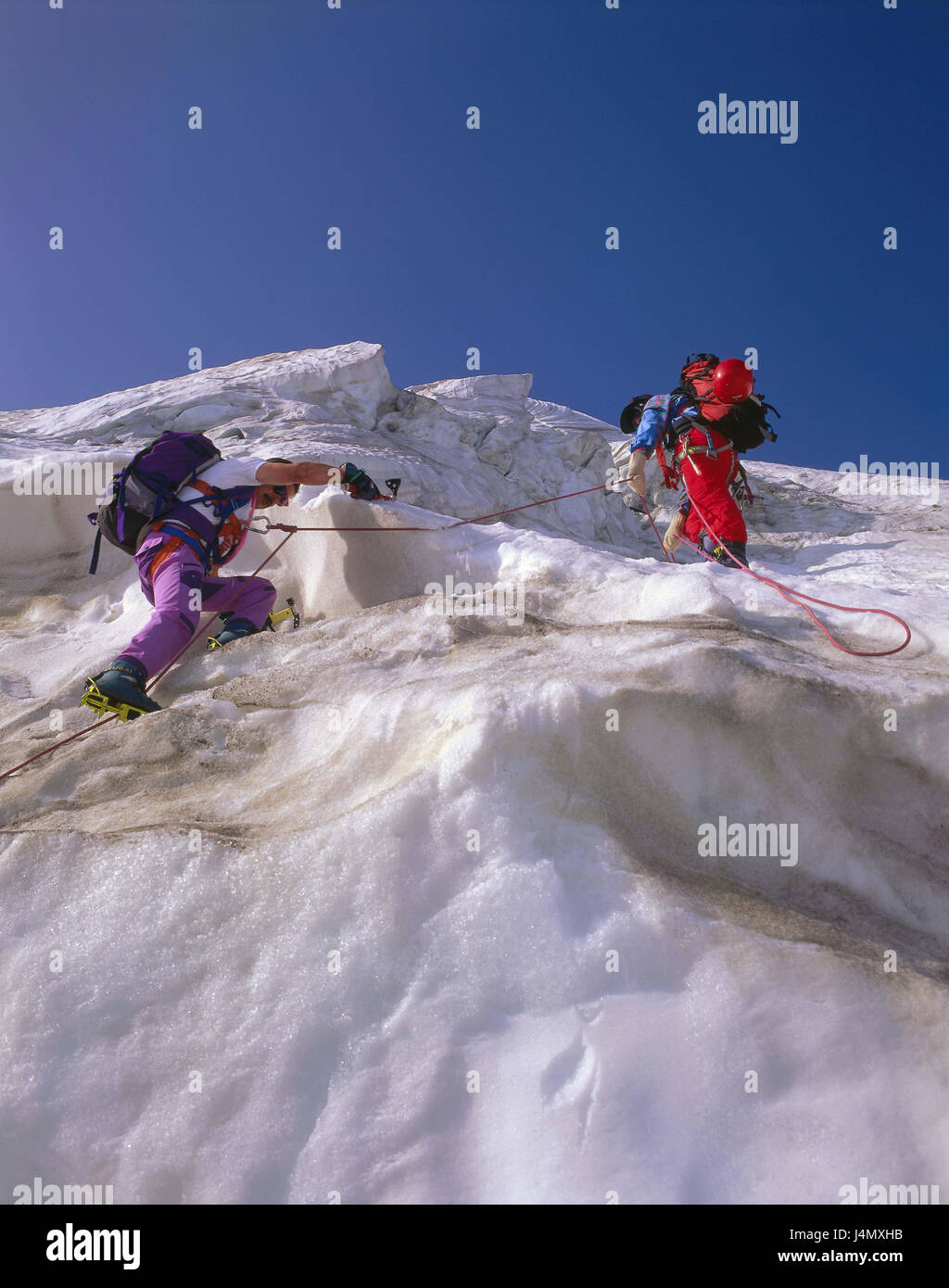 Austria, Tirolo, Kaunertal, lago bianco spike north face, alpinista, neve, ghiaccio, promozione Europa, alpi, montagna, montagne, lago bianco punto, alpi Ötztaler, area del ghiacciaio, ghiacciaio, tour ghiacciaio vertice, gamma, uomini, alpinismo, gelato gita escursione di montagna, angeseilt, fune di montagna, sicurezza, backup salvato, attrezzature, arrampicata ferro, zaini, tour, ceppo, perseveranza, condizione, tempo libero, motion, attività Foto Stock