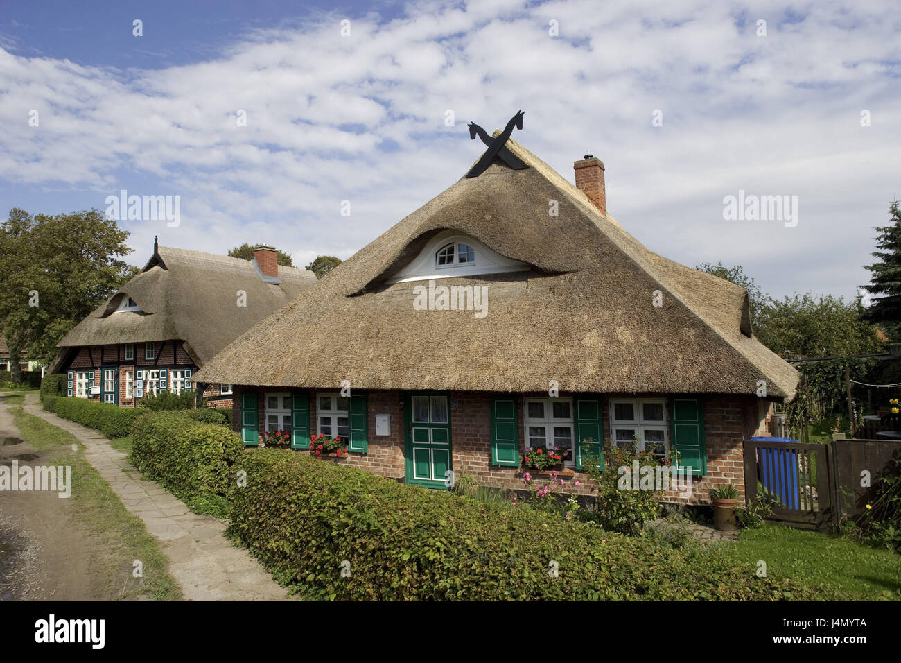 Germania, Meclemburgo-Pomerania occidentale, pesce paese, Wustrow, case residenziali, i tetti di paglia, Foto Stock