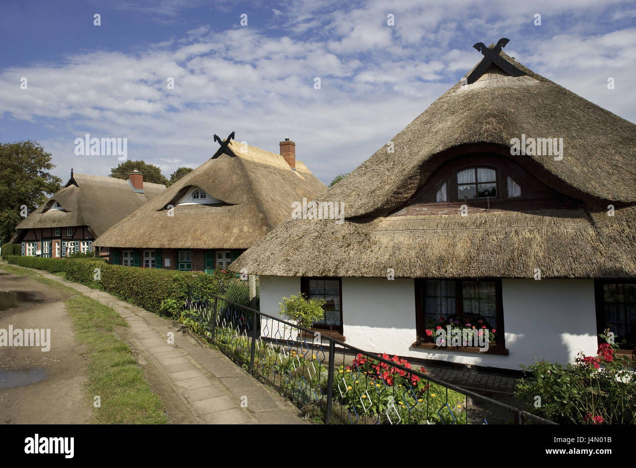 Germania, Meclemburgo-Pomerania occidentale, pesce paese, Wustrow, case residenziali, i tetti di paglia, Foto Stock