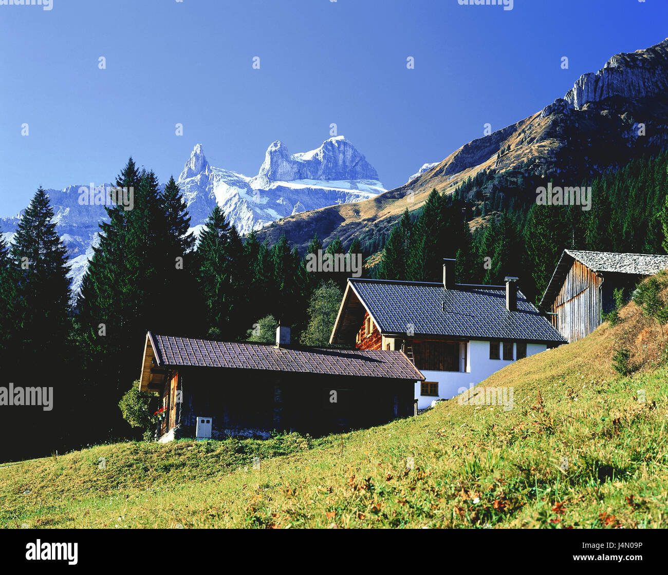 Austria Vorarlberg, Montafon, Schruns-Tschagguns, Gauertal, casa, sfondo, montagne, Alpi, montagne, scenario, Rätikon, Alpi Orientali, Schruns Tschagguns, casa residenziale, prati, legno, fuori, deserte, agriturismo, agriturismo, Foto Stock