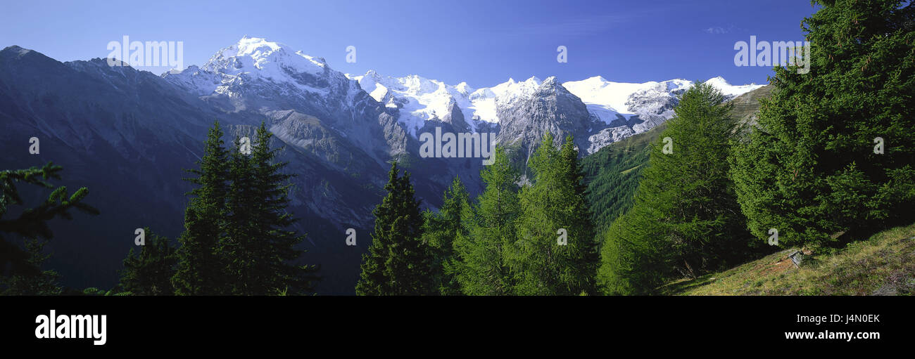L'Italia, Alto Adige, Val Venosta, Stilfser col, Trafoi, paesaggio montano delle Alpi, montagne, Montagne, Vista, larghezza, distanza vertice, neve, legno, alberi di conifere, Ortler, soleggiato, deserte, senza nuvole, Foto Stock