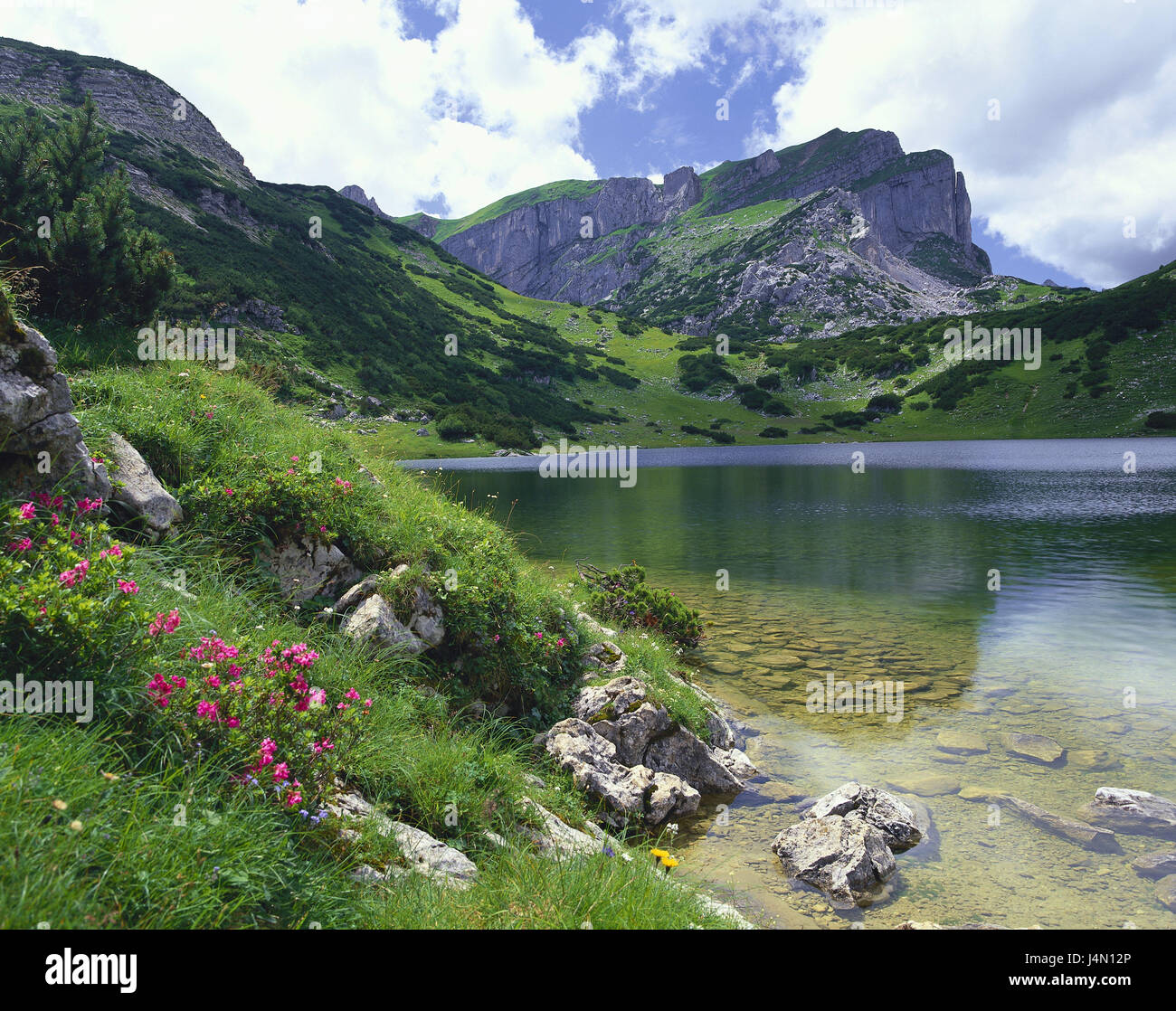 Austria, Tirolo, Rofangebirge, Zireiner lago, Rofanspitze, alpi Sonnwendgebirge, Rofan, montagne, montagne, scenario, rock, summit, natura, vegetazione, piante, fiori, lago di montagna, Lakeside, deserte, esterno, Foto Stock