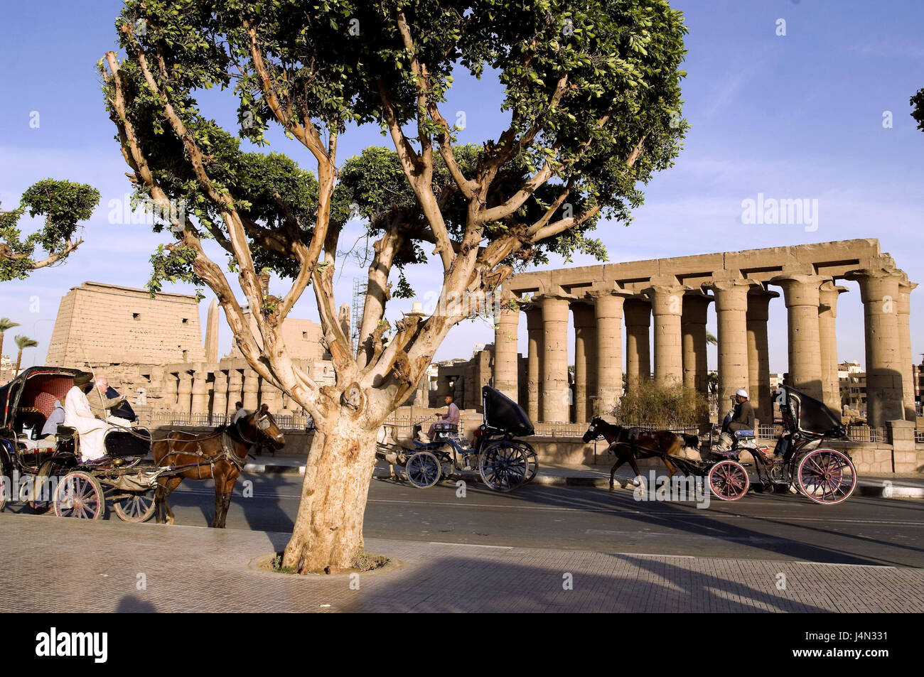 L'Egitto, la valle del Nilo, Luxor, Tempio di Luxor, street, carrelli, Foto Stock