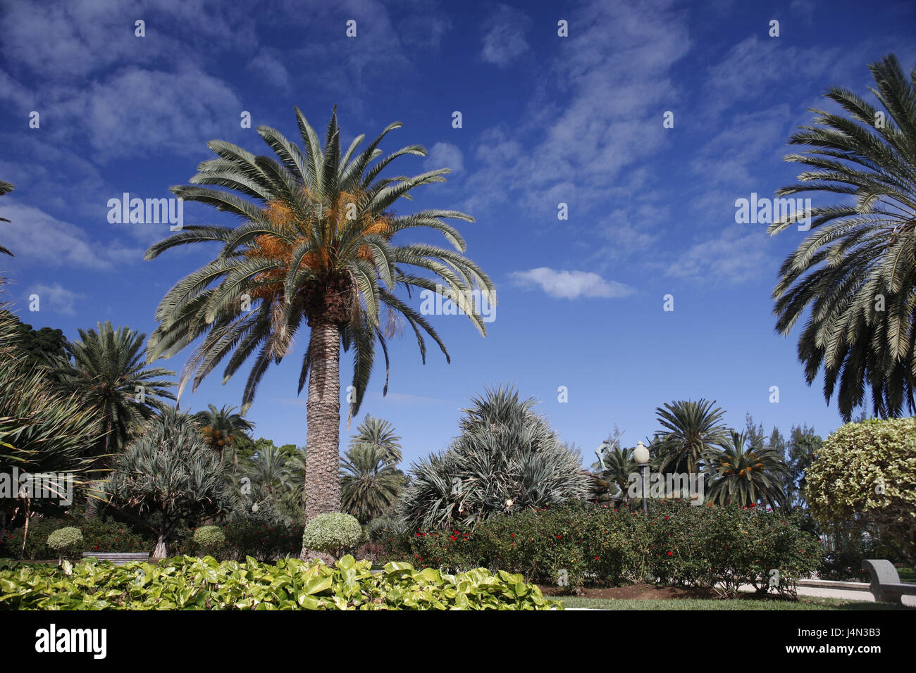 Spagna, grana Canaria, lettura di Palma, Pueblo Canario, parco, deserte, Foto Stock