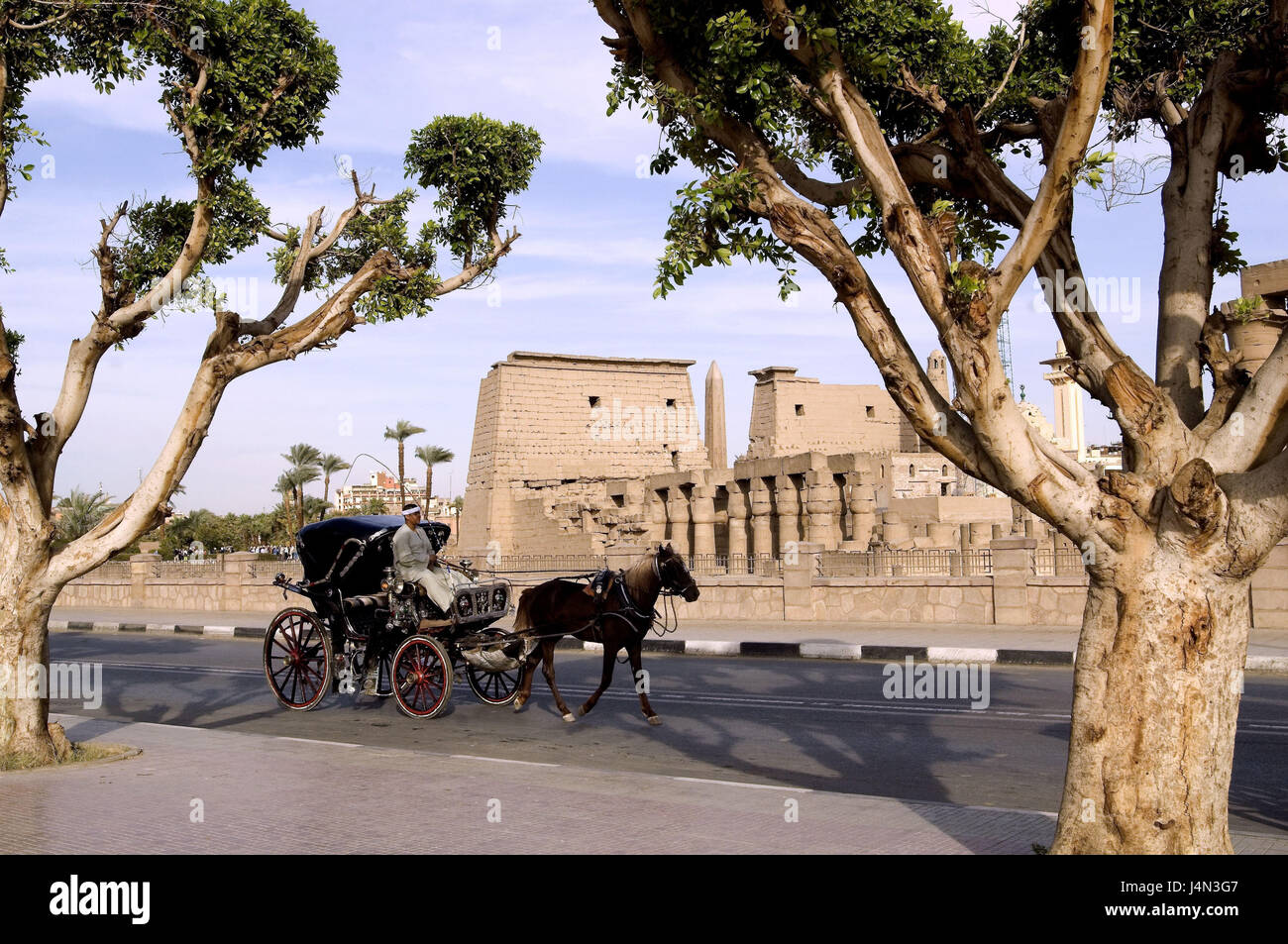 L'Egitto, la valle del Nilo, Luxor, Tempio di Luxor, street, carrello, Foto Stock