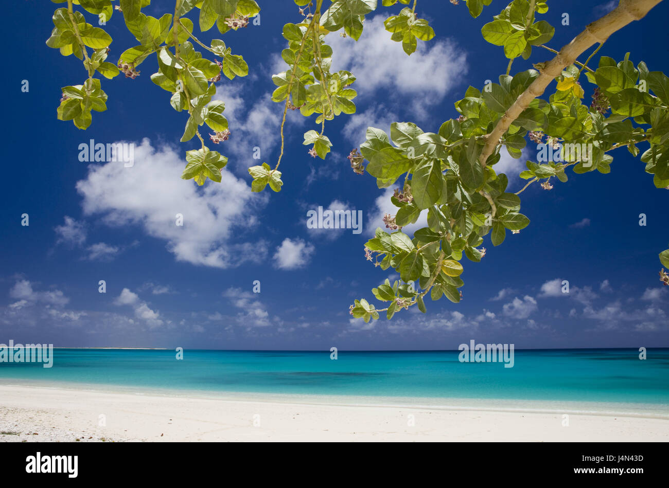 Laguna beach Bikini, isole Marshall, Foto Stock