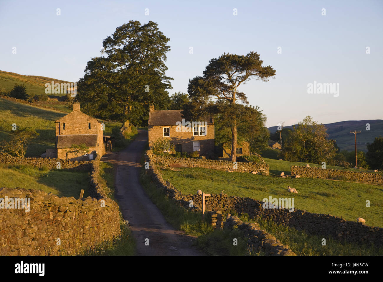 Gran Bretagna, Inghilterra, Yorkshire, Yorkshire Dales, Swaledale, strada di campagna, case, alberi, Foto Stock