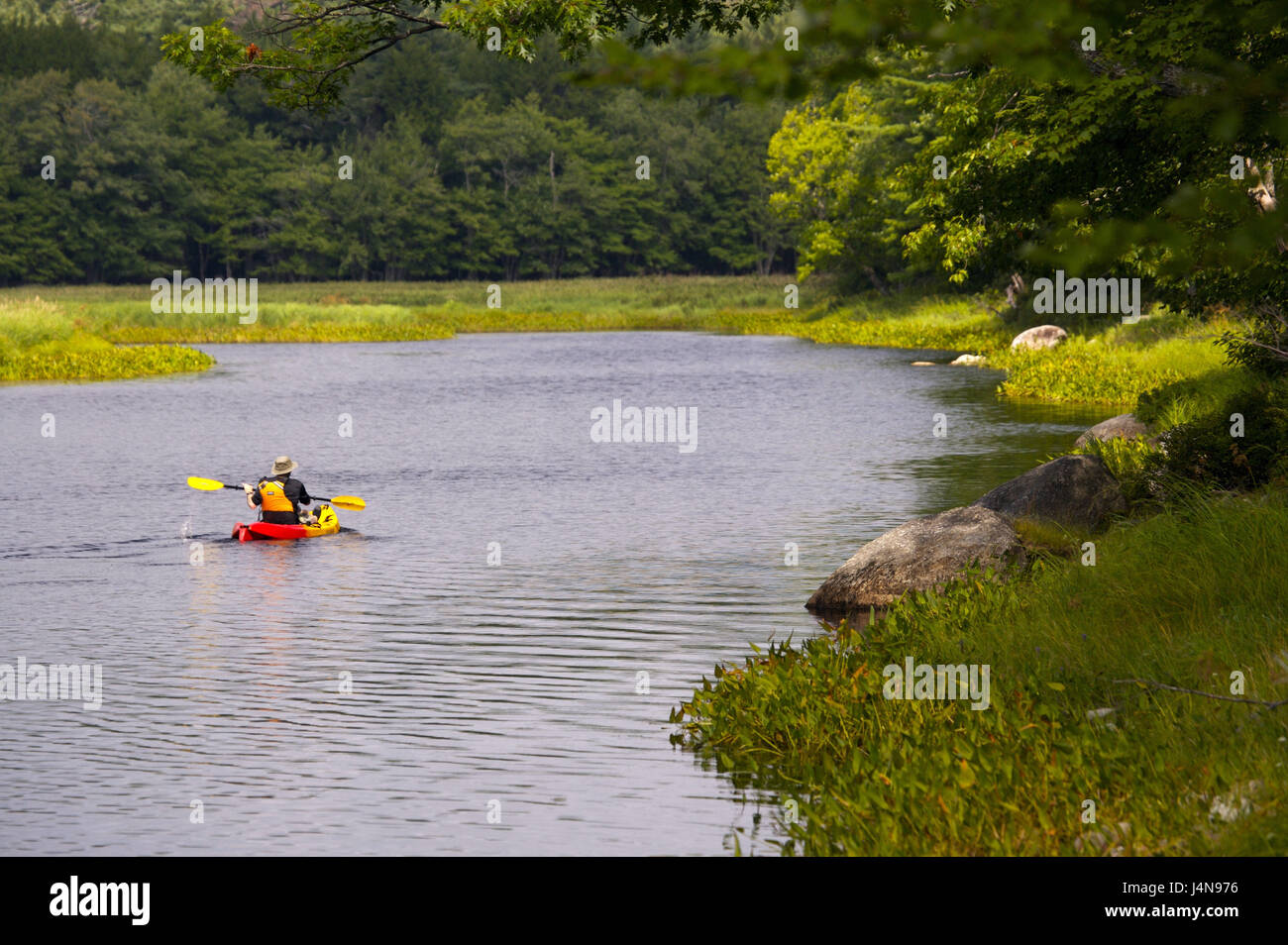 Tourist, Kayak, vista posteriore, Mersey River, Kejimkujik parco nazionale, Nova Scotia, Canada, Foto Stock