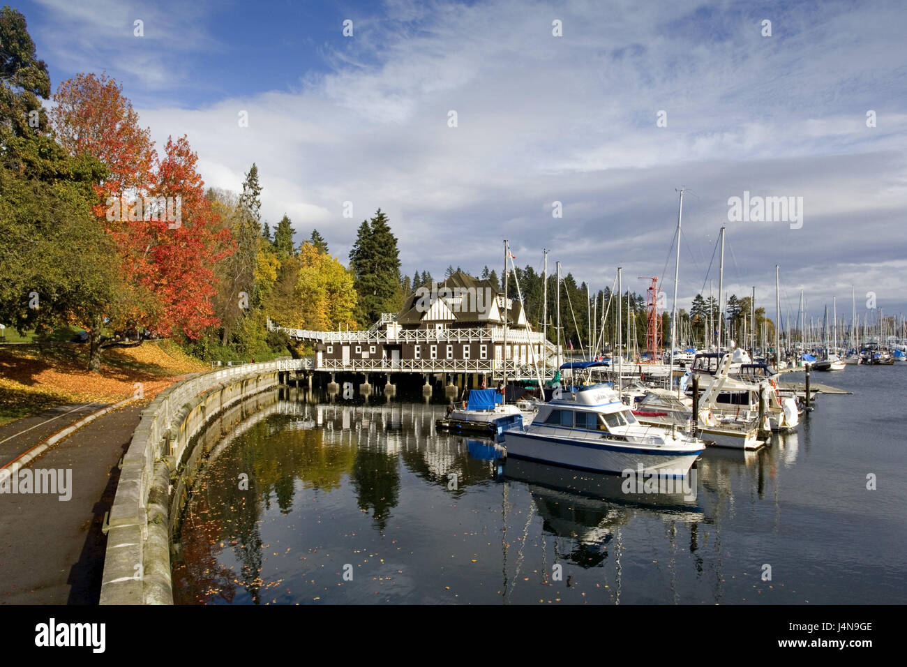 Canada, British Columbia, Vancouver, Coal Harbour, autunno, Colombia britannica, città, porto, edilizia, architettura, il lungomare, il fogliame di autunno, alberi, deserte, esterno, barche, Foto Stock