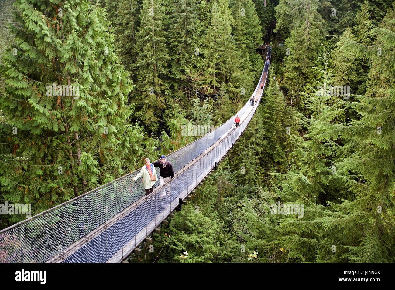 Canada, British Columbia, Vancouver, borer ponte di margine, turistiche, Nord America, legno, alberi, ponte ponte di sospensione, turismo, persona, natura Foto Stock