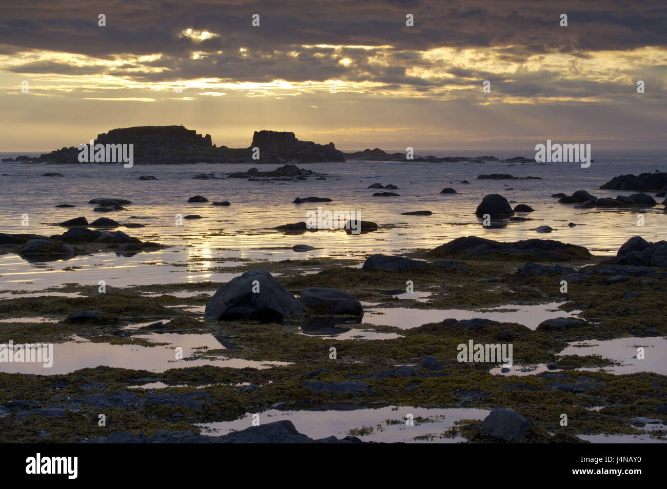 Luce della Sera, bile costa, bassa marea, l'Anse aux Meadows, Terranova, Canada, Foto Stock