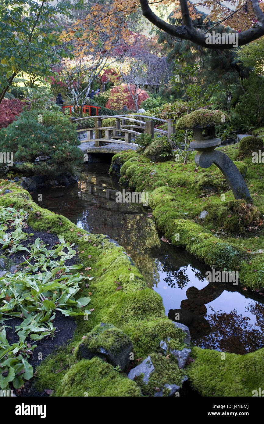 Canada, British Columbia, Vancouver Islanda, Victoria, giardino botanico, ponti, Nord America, Colombia britannica, destinazione, luogo di interesse, giardino, parco, parco, piante, turismo, deserte, Brook, Foto Stock