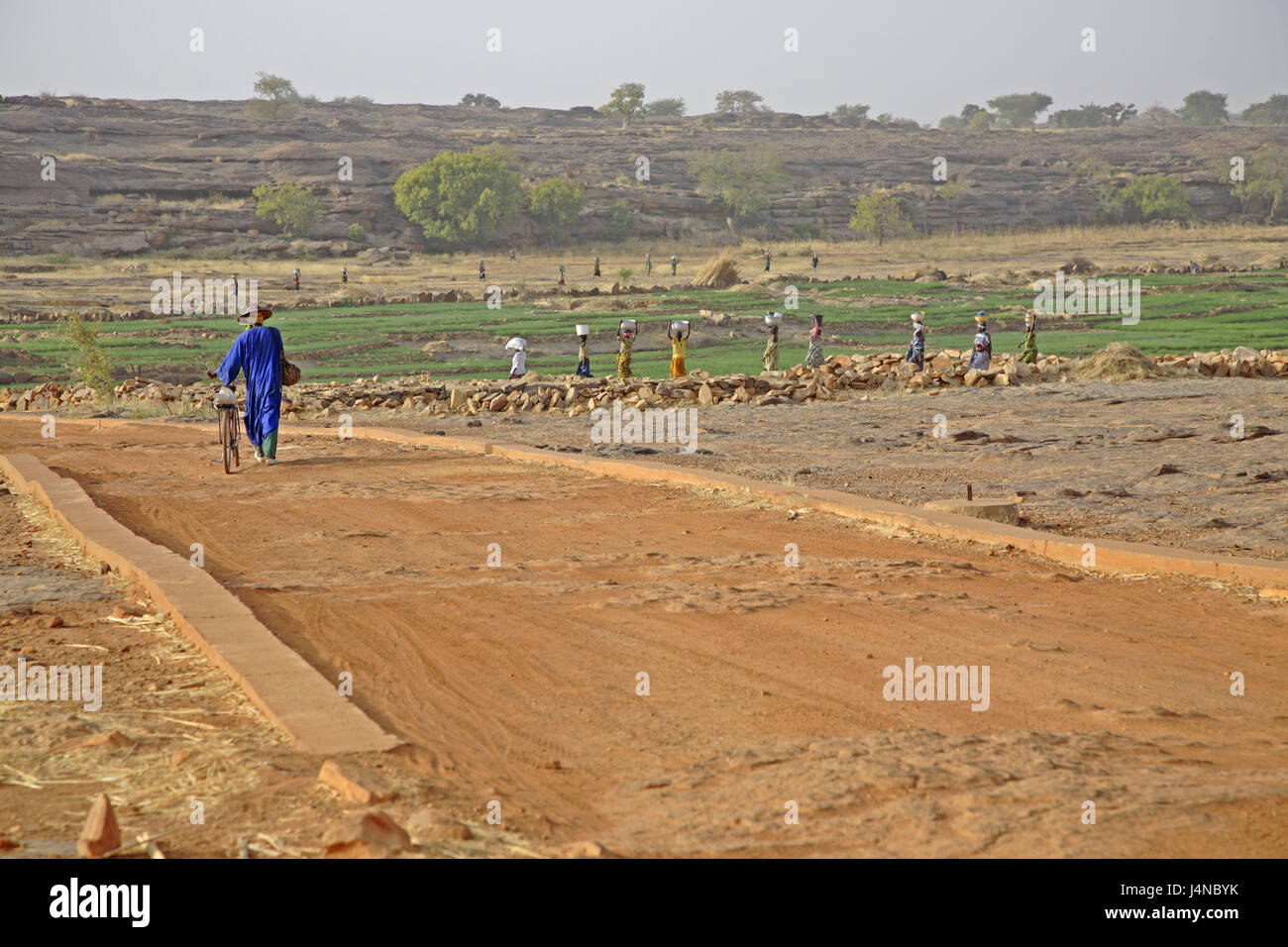 Africa occidentale, Mali, Dogonland, Falaise Bandiagara, scene di strada, uomo, bicicletta, donne, costi di testa, Foto Stock