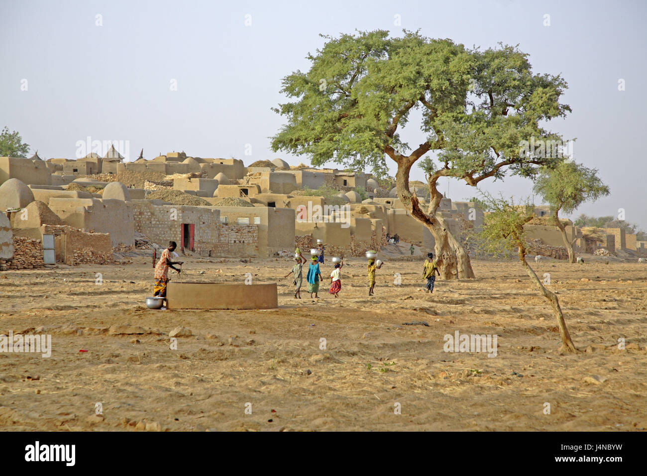 Africa occidentale, Mali, Dogonland, Falaise Bandiagara, Sanga, vista locale, quadrato, albero, ben, donne, costi di testa, Foto Stock