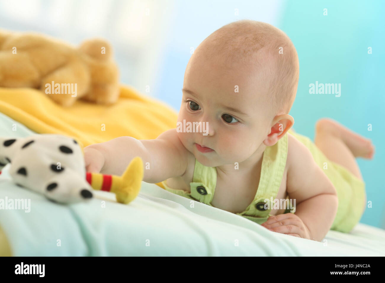 Baby, 5 mesi, giocattolo morbido, play, Foto Stock