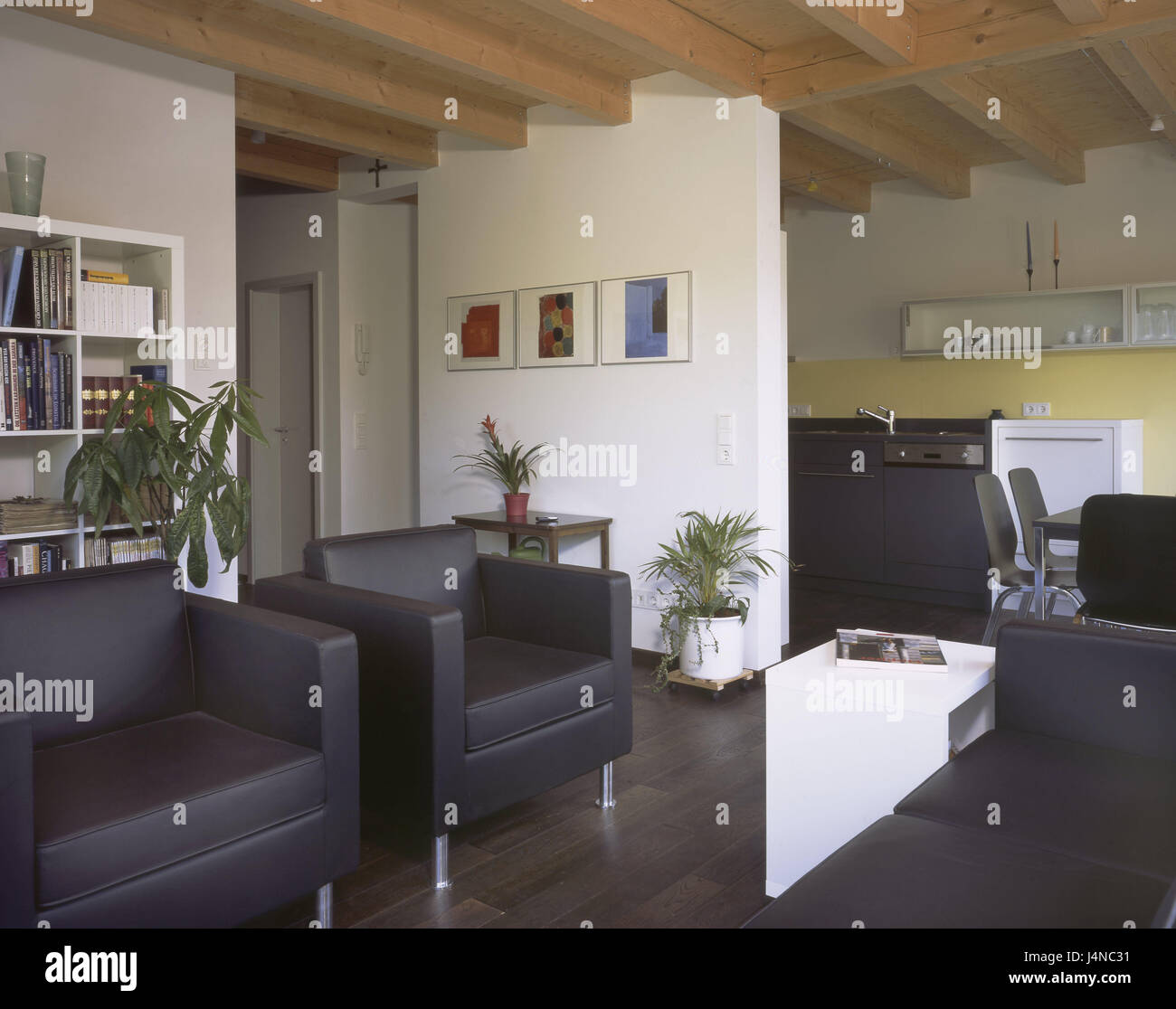 Casa residenziale, piazza vivente, cucina, salotto, sede di opportunità, una palla di cuoio poltrone, una palla di cuoio divano, cucina, unità di credenza culinario, credenza, disposizione interiore, tappi in legno, casa unifamiliare, stile residenziale, home decor, living, disegno residenziale, ambiente residenziale, interior design, creazione, configurazione, casa propria, real estate, design, Foto Stock