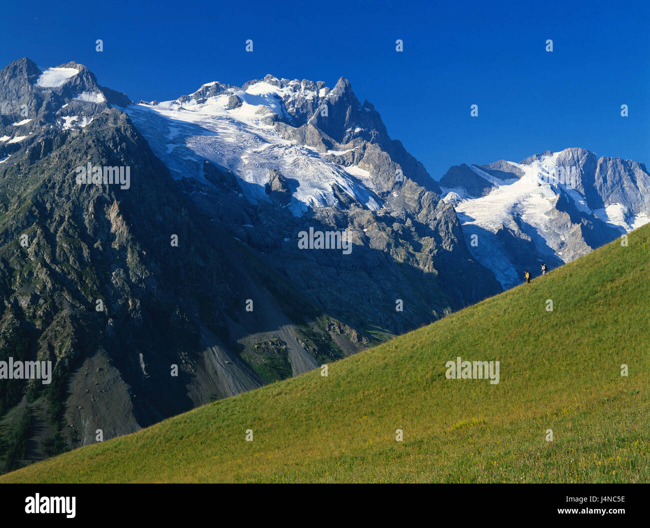 Francia, parco nazionale degli Ecrins, Meije, montagne, pascoli di montagna, Wanderer, esegui, paesaggio di montagna Foto Stock