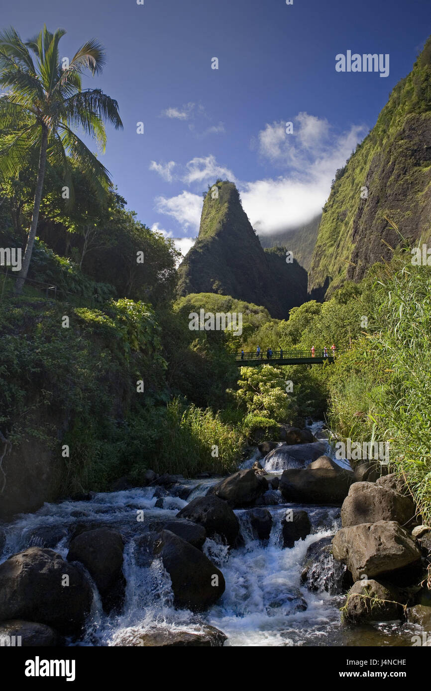 Gli Stati Uniti, Hawaii Maui Islanda, Iao Valley, parco Iao ago, Brook, bridge, turistica, le isole hawaiane, destinazione, luogo di interesse, Natura, riserva naturale, rock, montagne, piante, vegetazione, palm, fiume, acqua, pietre, turismo, persona, Foto Stock
