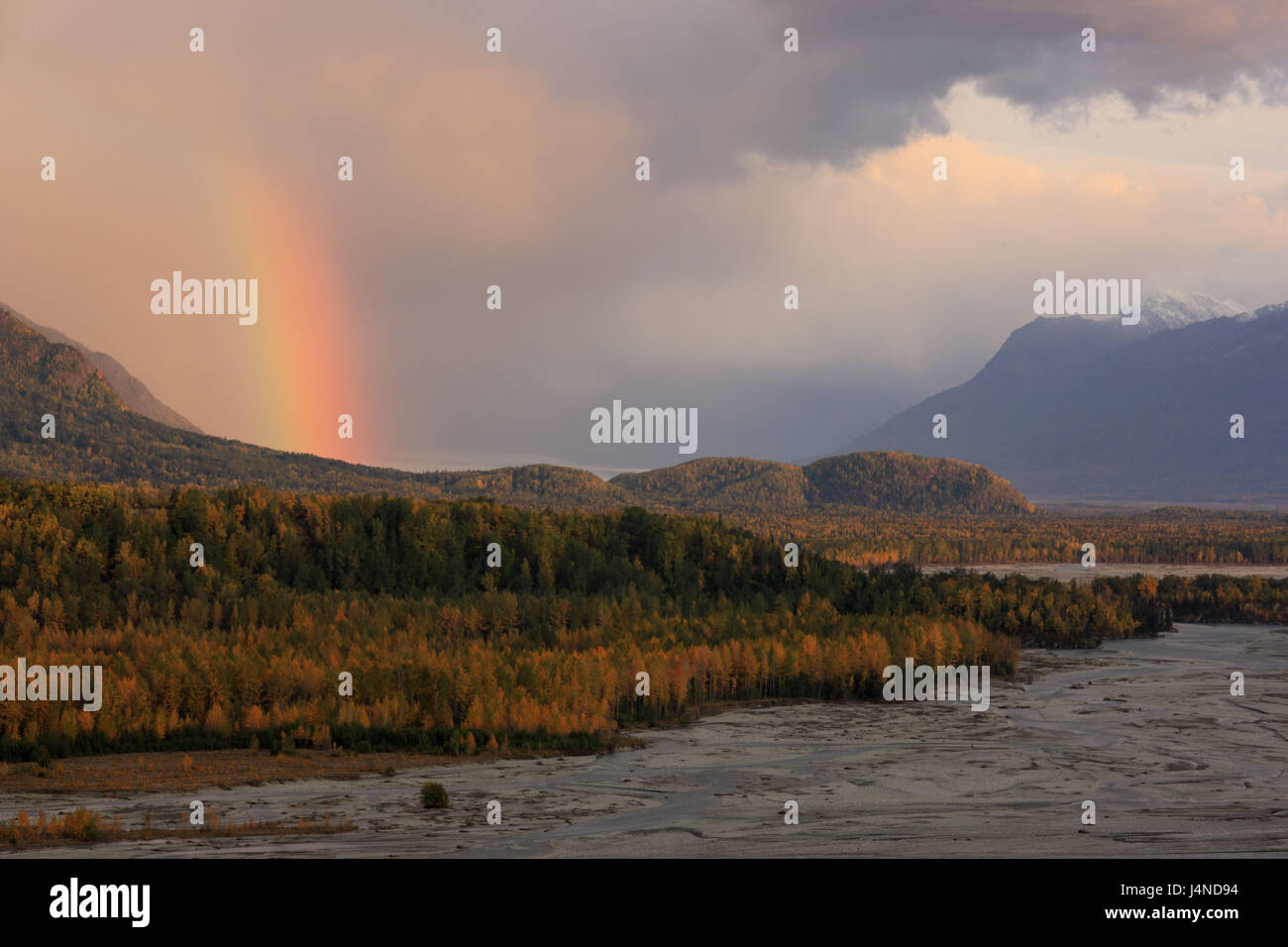 Gli Stati Uniti, Alaska, Südalaska, Matanuska Valley, Matanuska River, Chugach foresta nazionale, autunno Foto Stock