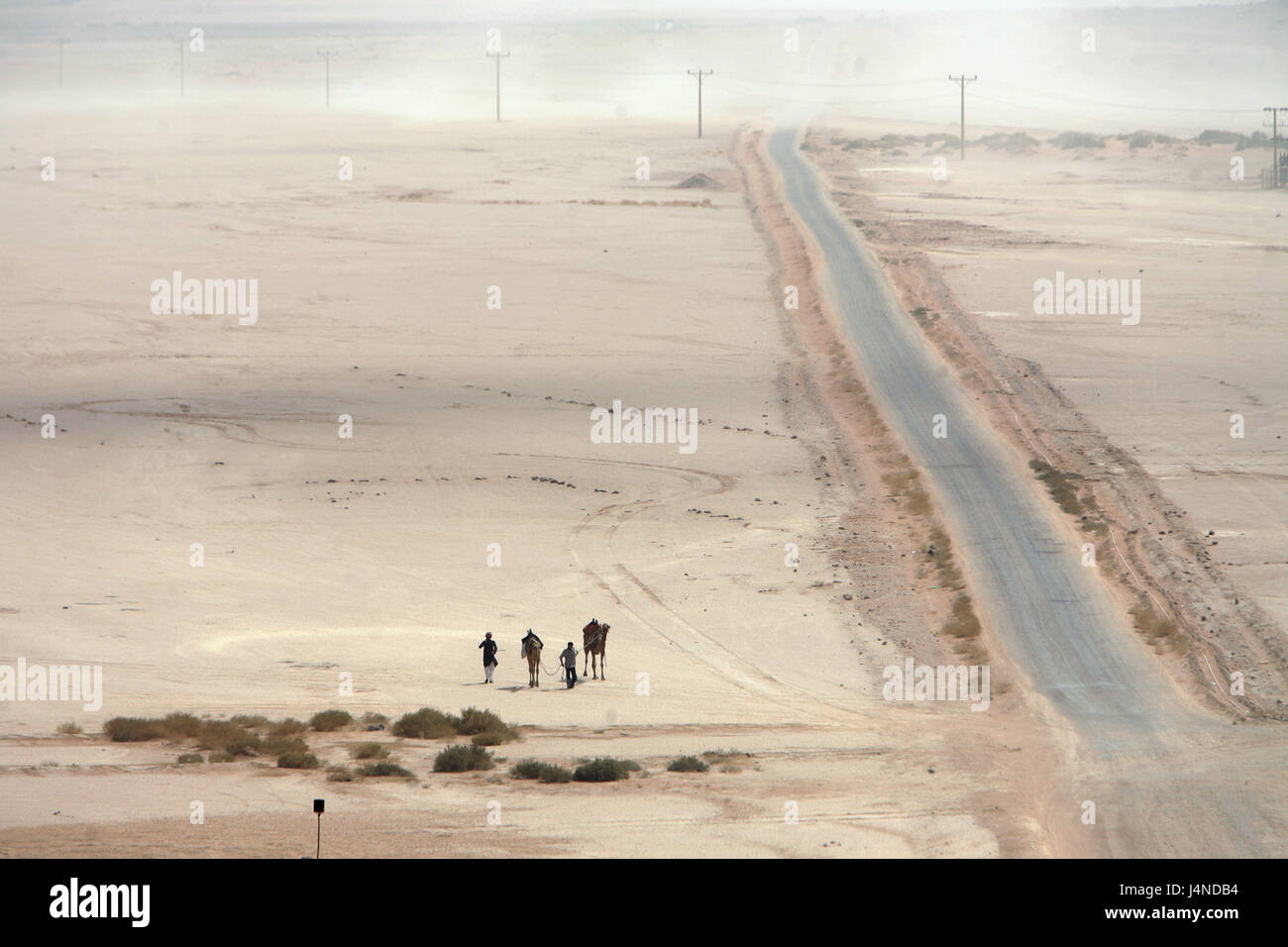 Il Medio oriente, Giordania, Wadi Rum, camel tour, street, Foto Stock