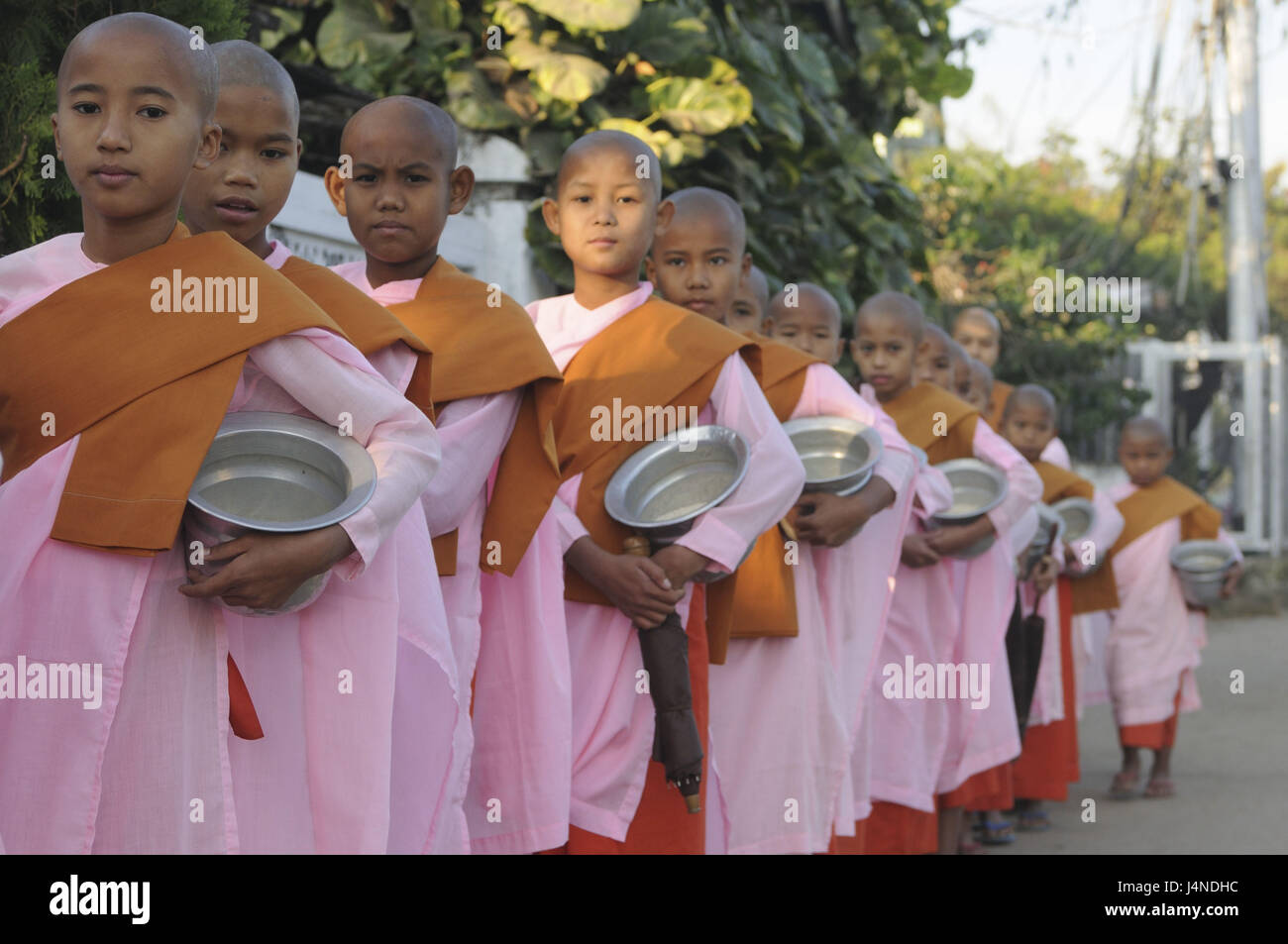 I monaci, femminile, giovane, buddisti, line-up, alimentare in uscita, Pyay, Myanmar, Foto Stock