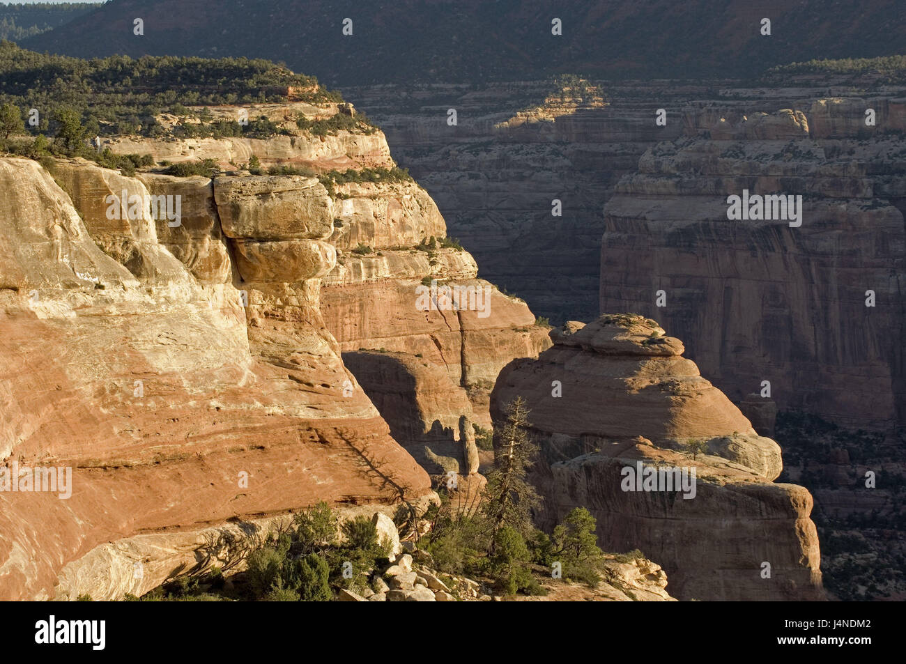 Gli Stati Uniti, Utah, Arch Canyon, bluff, roccia arenaria, Foto Stock