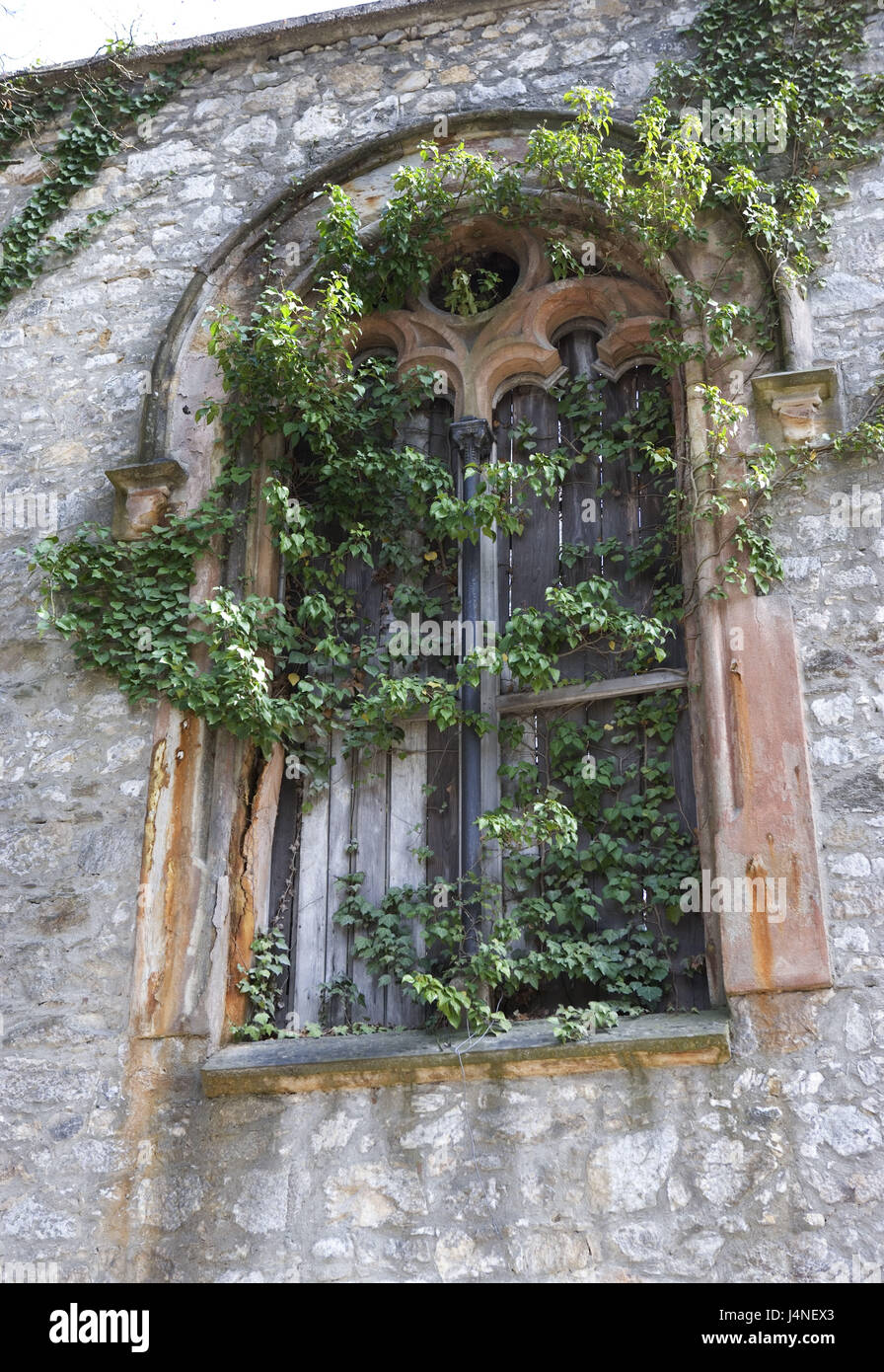 Austria, Carinzia, wolf mountain, bloccare, finestra, pianta rampicante, dettaglio Foto Stock
