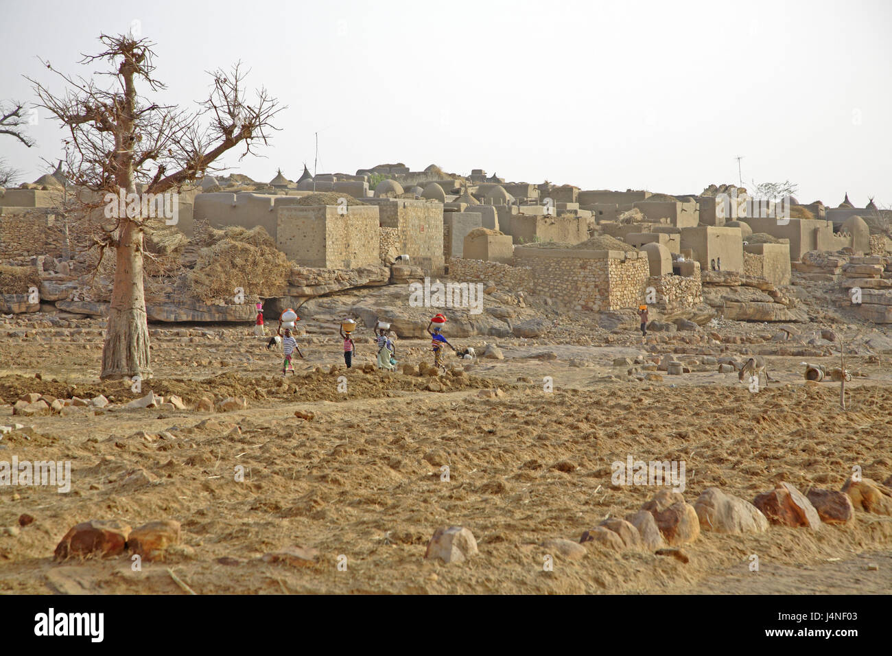 Africa occidentale, Mali, Dogonland, Falaise Bandiagara, Sanga, vista locale, street, donne, costi di testa, Foto Stock