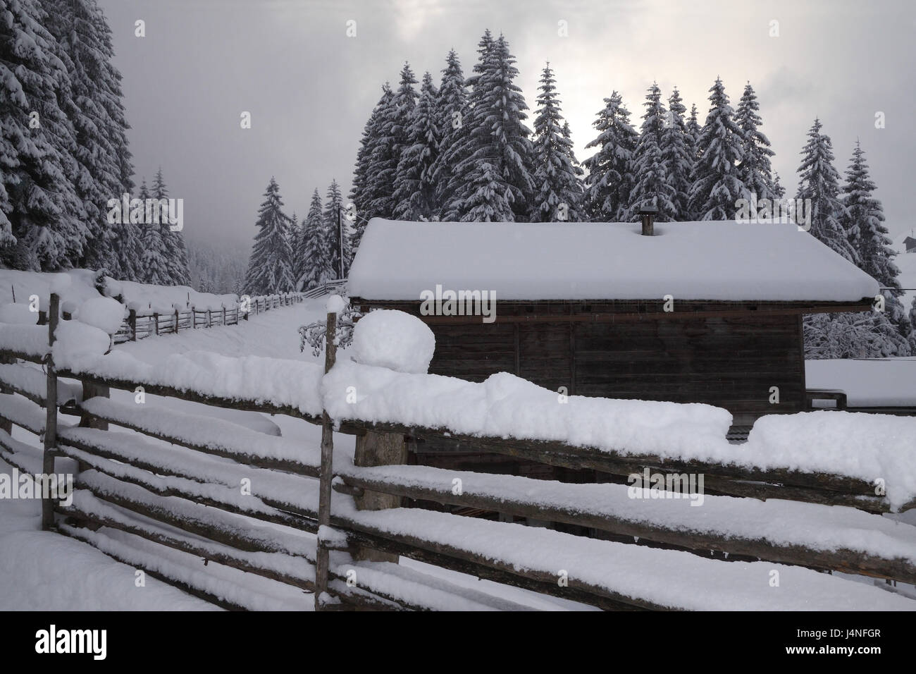 Capanna in legno, recinzione di legno, coperti di neve, modo, legno, paesaggio invernale, Austria, Tirolo, Zillertal, Tux, Brook Laners, Foto Stock