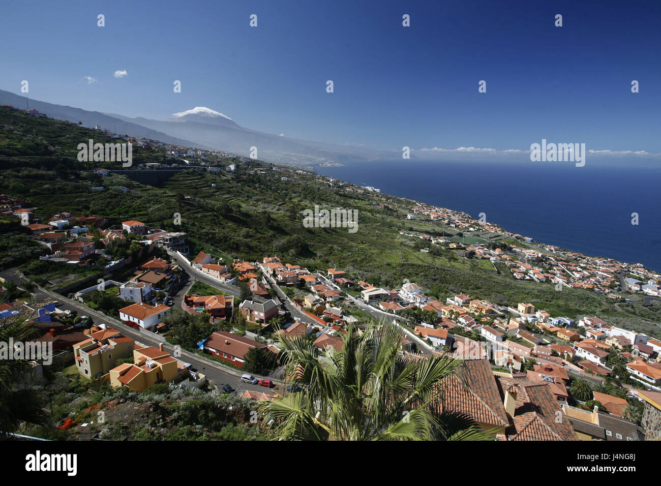 Spagna, Tenerife, Tacoronte, locale, panoramica Foto Stock