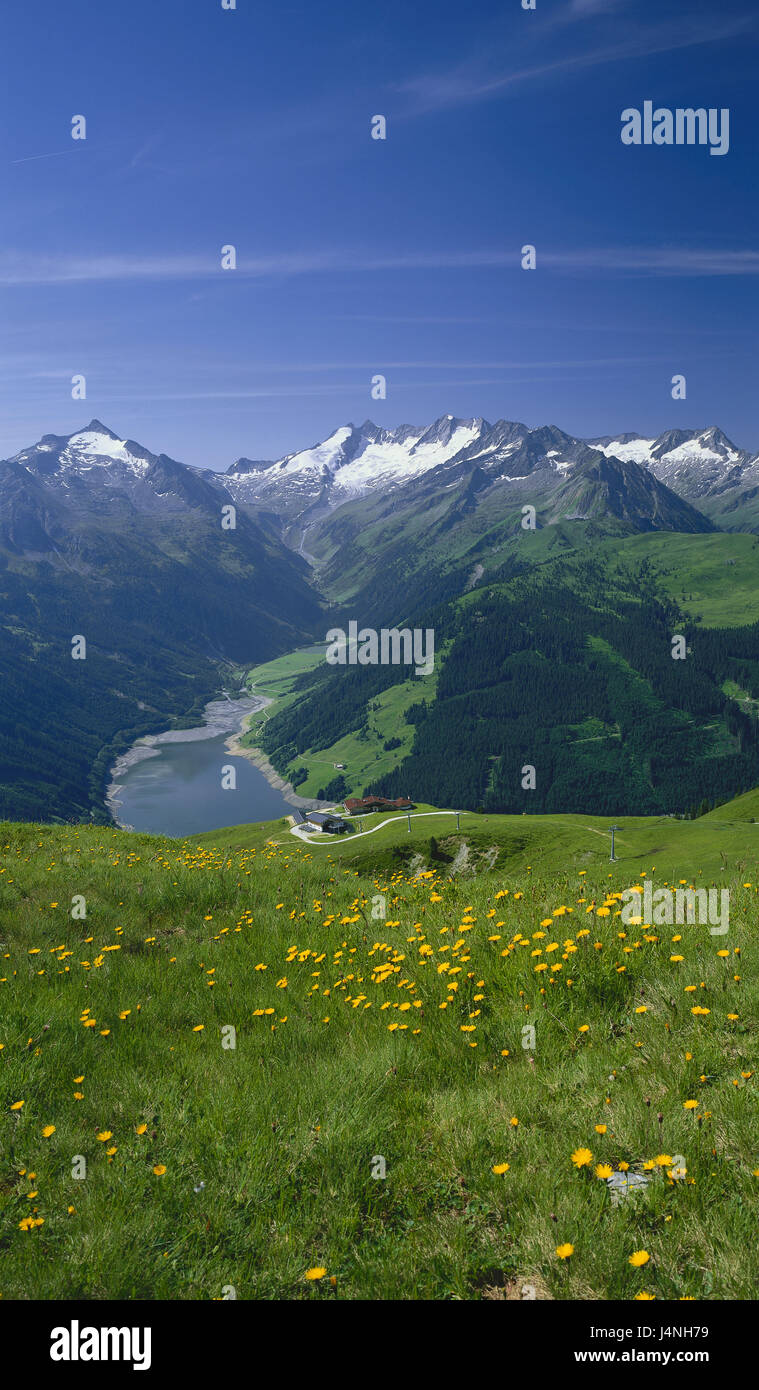 Austria, Tirolo, Zillertal, di Gerlos, re del leader summit, visualizzare, memoria Durlaßboden, imperial spike gruppo, alpi, montagne, montagne, regione montagnosa, paesaggio di montagna, larghezza, distanza vertice, lago, montagna, prato, fiori, natura, sky, mountain inn, Foto Stock