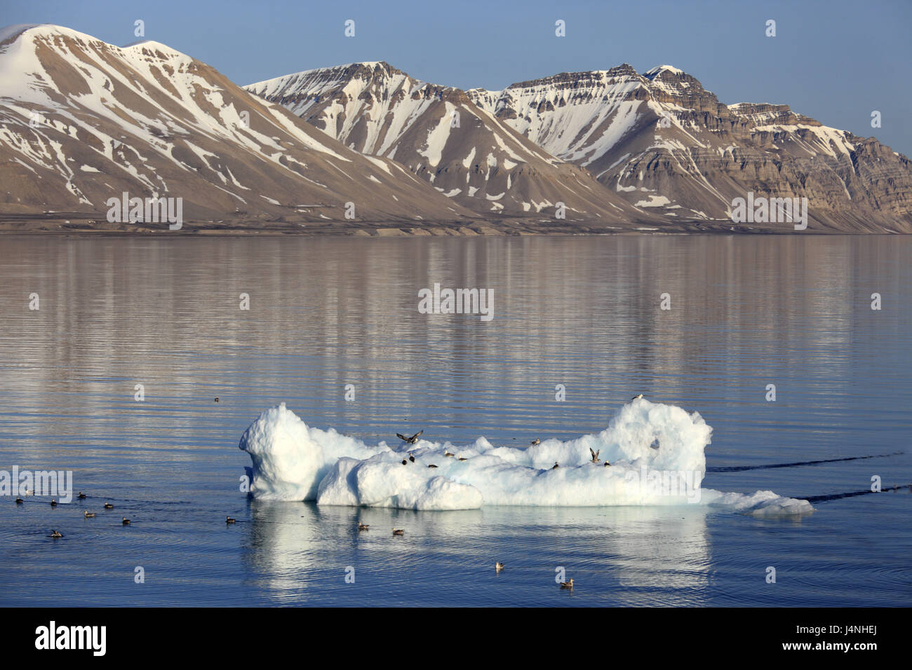 Norvegia Isole Svalbard, Spitsbergen, Isfjord, paesaggi costieri, mare, iceberg, Foto Stock