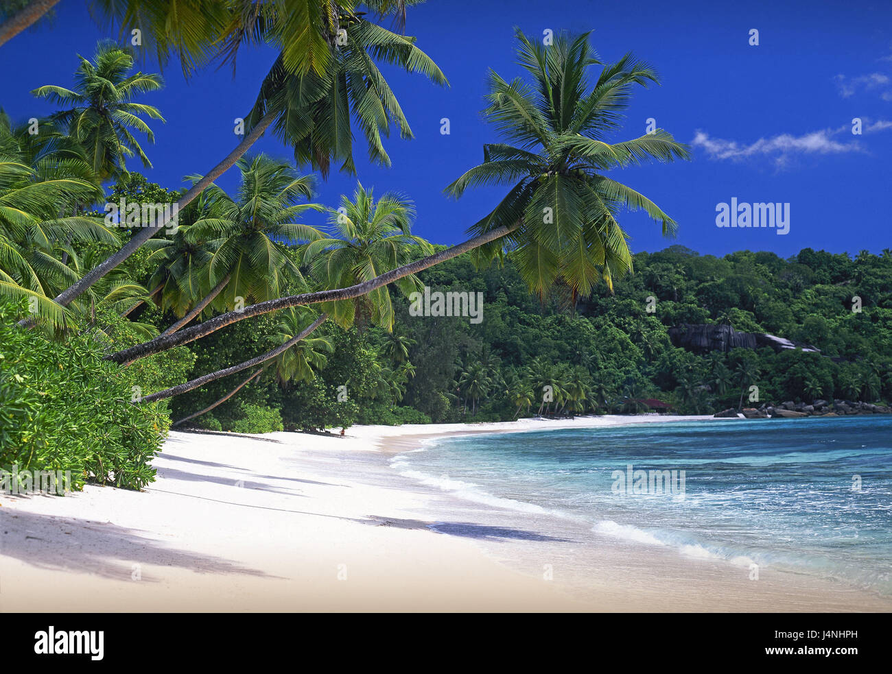 La Seychelles, Mahe Islanda, spiaggia, palme, Anse Mouche, isola di stato, isola Mahe, costa, spiaggia sabbiosa, Palm Beach, nessuno, acqua, chiaramente, blu turchese, di riposo e di silenzio e solitudine, destinazione, ferie, vacanze Paradise, sogno spiaggia, vacanza da sogno, isola paradiso, isola da sogno, Foto Stock