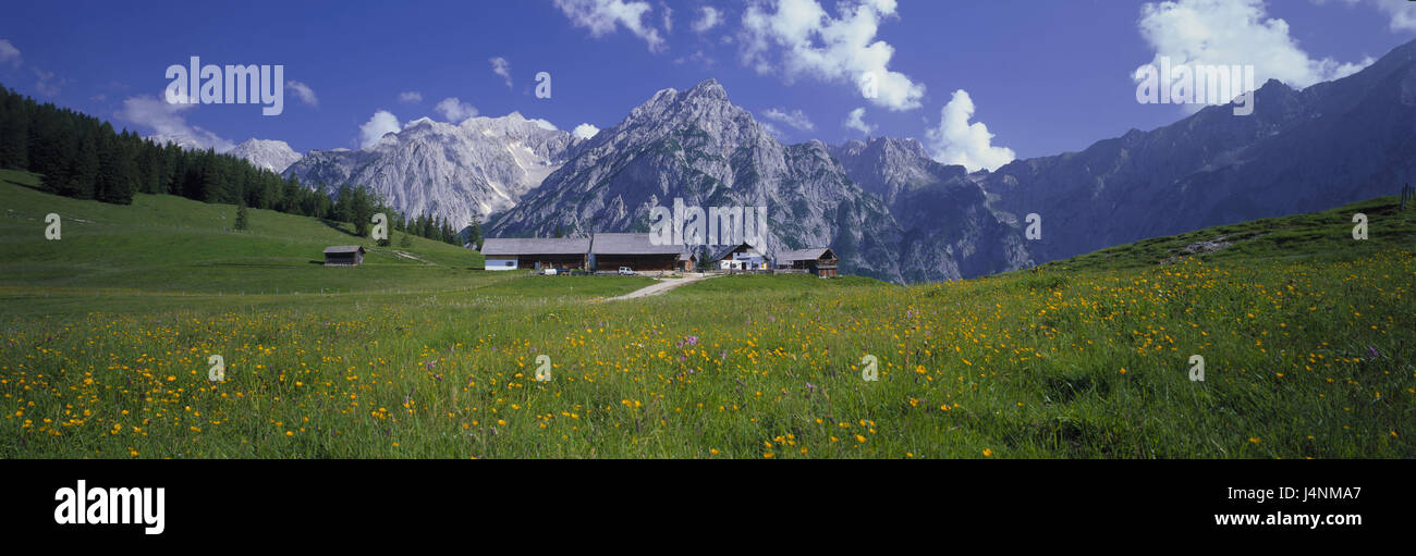 Austria, Tirolo, grazia legno, Walder alp, visualizzare, Karwendel, montagne, montagne, Alpi paesaggio di montagna, regione montagnosa, summit, mountain range, prati e pascoli di montagna, fiori, corte, case, maso di montagna, Foto Stock