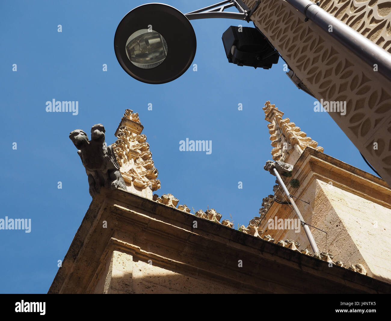 Una chiusura dettaglio vista dettagliata di ornati intricata architettura gotica Catedral Cattedrale Santa Maria con gargoyle Segovia, Spagna Foto Stock