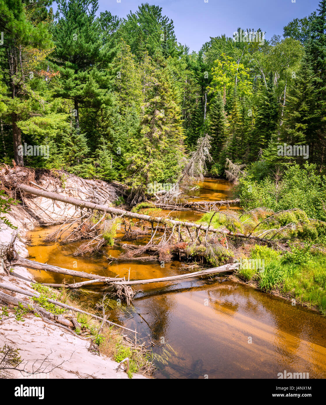Creek in foresta Pictured Rocks National Lakeshore, Michigan Foto Stock