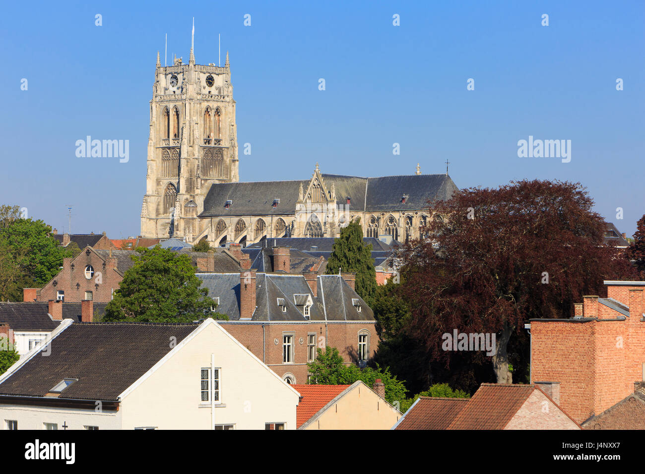 Il XIII secolo la gotica basilica di Nostra Signora di Tongeren, Belgio Foto Stock