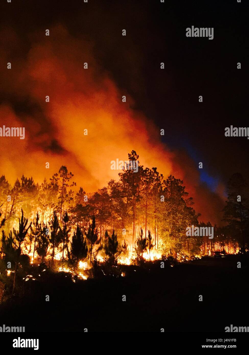 Vista notturna di fiamme e fumo da ovest Mims wildfire si diffonde in tutto il Okefenokee National Wildlife Refuge lungo il confine tra la Georgia e la Florida 26 Aprile 2017 nei pressi di San Giorgio, Georgia. Circa 130.000 acri o circa un terzo del rifugio, hanno bruciato che è iniziato il 6 aprile a causa di condizioni di asciutto. Foto Stock