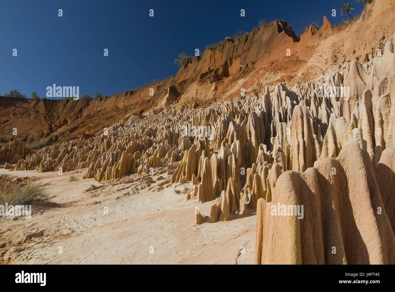 Madagascar, riserva naturale Analamera, rosso Tsingy, bile formazioni, Foto Stock