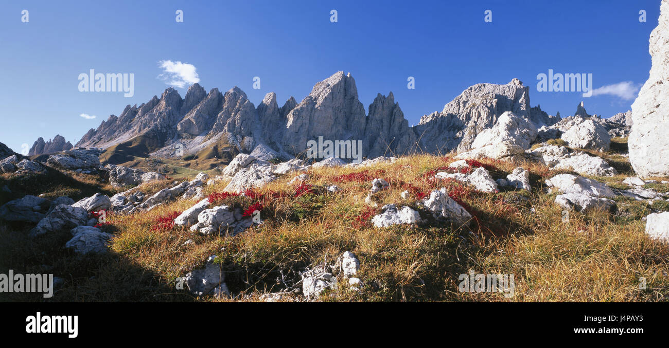 L'Italia, Sud Tirolo, Grödnertal, Grödner col, Cirspitzen, autunno, paesaggi, natura, montagne, panorama di montagna, summit, cima, paesaggio di montagna, roccia, erba, vegetazione, piante, Foto Stock