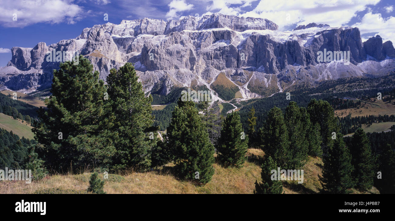 L'Italia, Sud Tirolo, Grödnertal, cloud pietra, Ciampioi, il massiccio del Sella, paesaggi, natura, montagne, panorama di montagna, summit, cima, paesaggio di montagna, alberi di conifere, Sella, Foto Stock