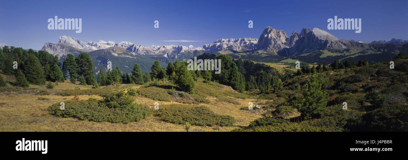 L'Italia, Sud Tirolo, Alpe di Siusi, panorama della Puflatsch, Geislerspitzen, Sella e Sassolungo, paesaggi, natura, le montagne, il paesaggio di montagna, summit, cima, visualizzare, larghezza, visualizzare Sellamassiv, Langkofelmassiv, prati, alberi e vegetazione, Foto Stock