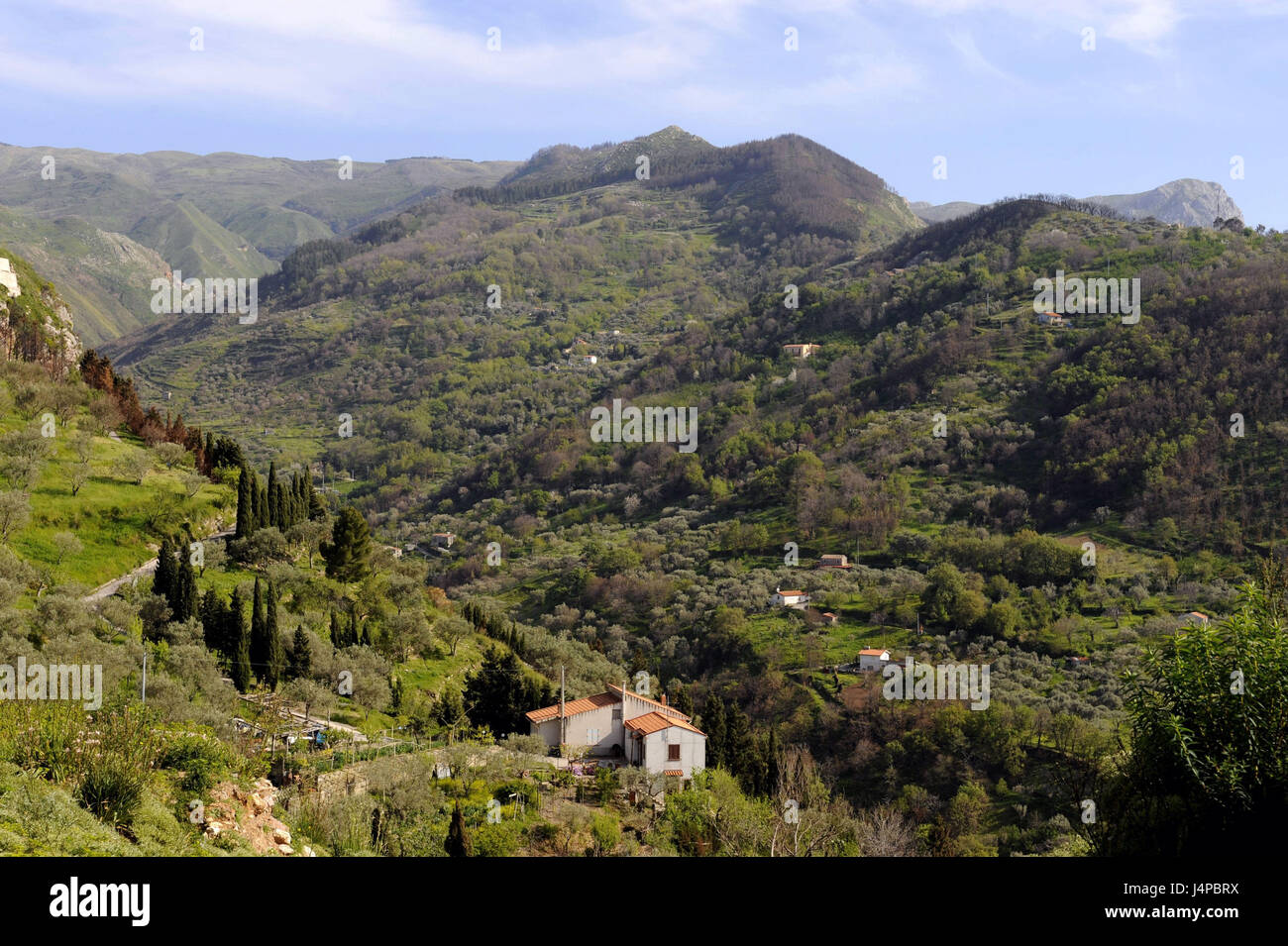 L'Italia, sicilia, Monti Nebrodi, il paesaggio di montagna, Foto Stock